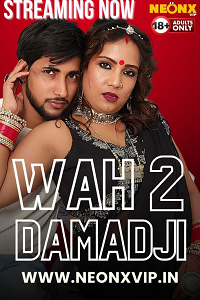 [18+] Wah Damad Ji 2 (2024)